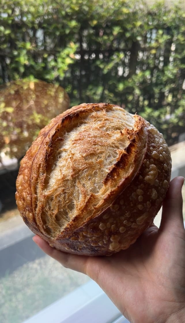 Chatting Sourdough with Rose! @su.ppan