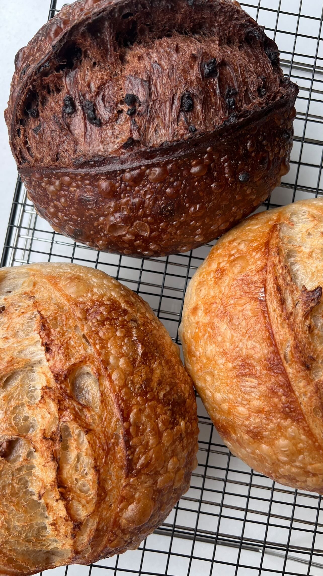 Chatting Sourdough with Rose! @su.ppan