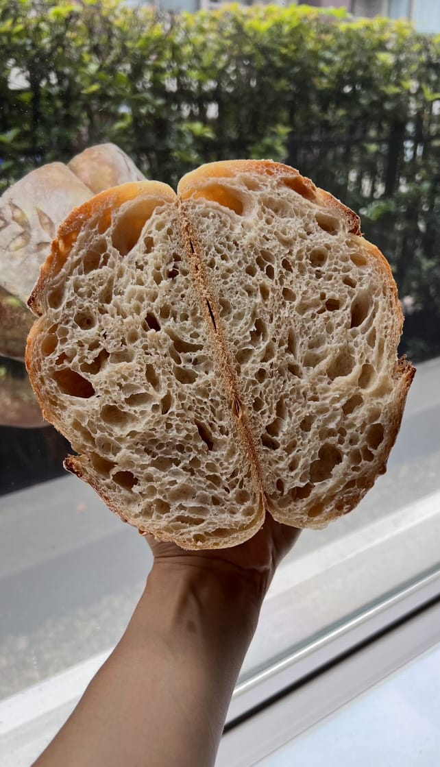 Chatting Sourdough with Rose! @su.ppan