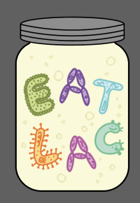 Chatting Sauerkraut with Dr. Lei Wei!