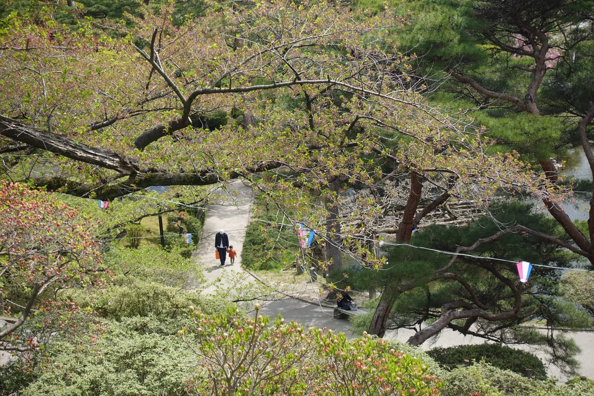 Thirty Day Posting Challenge and Owning your Work!