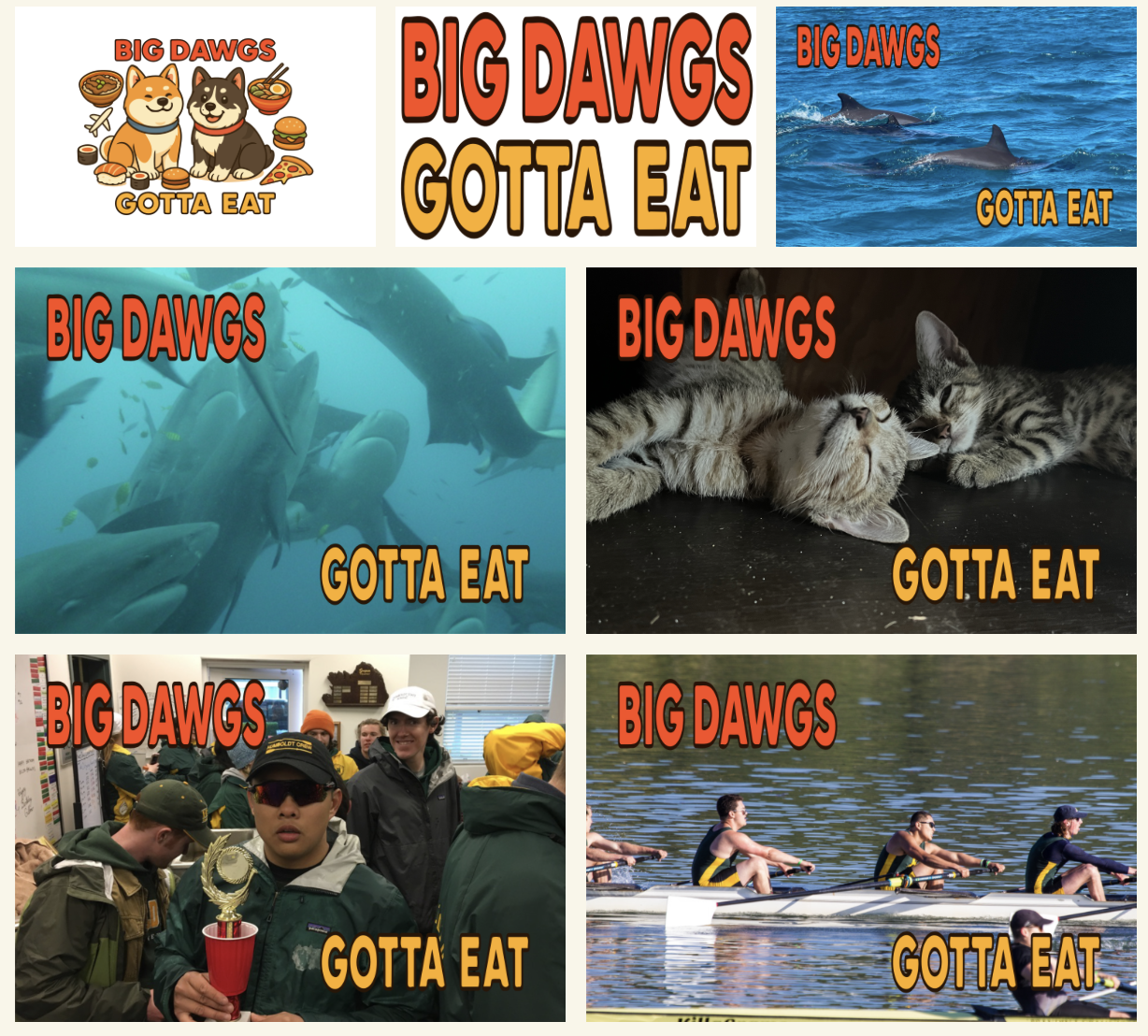 Stickers For Sale! (Blogmas 17)