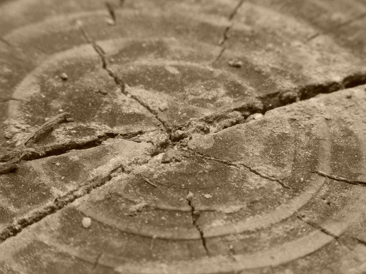 OKR Goal Formatting! - Let's Set Some Goals for 2026