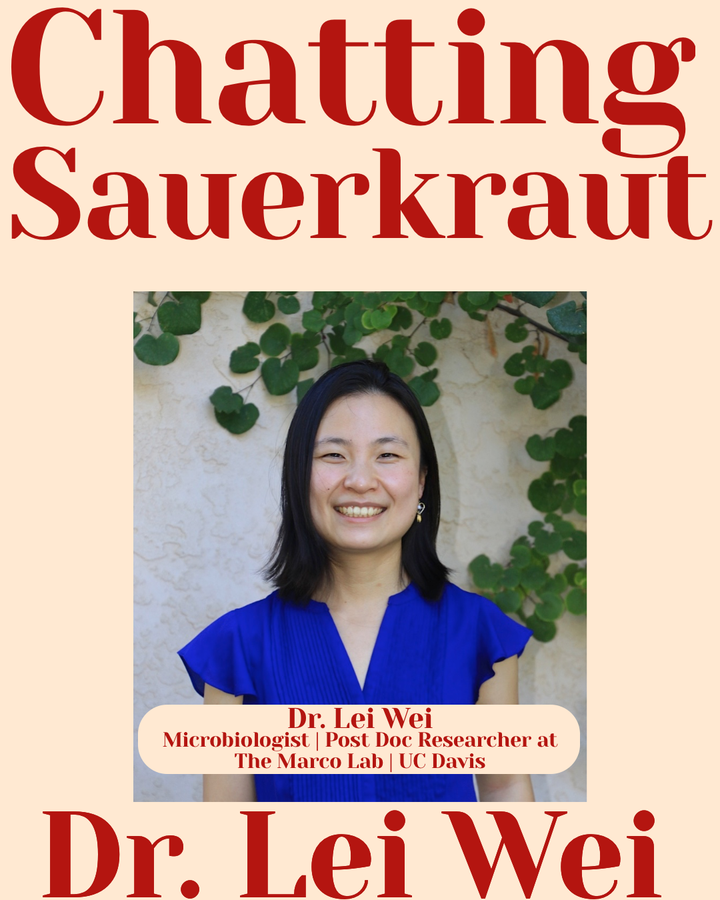 Chatting Sauerkraut with Dr. Lei Wei!