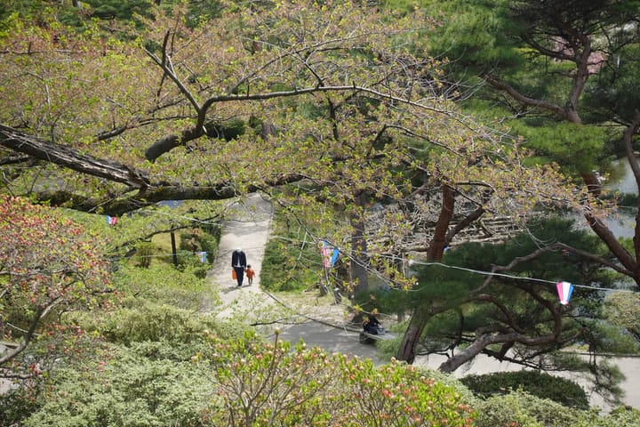 Thirty Day Posting Challenge and Owning your Work!