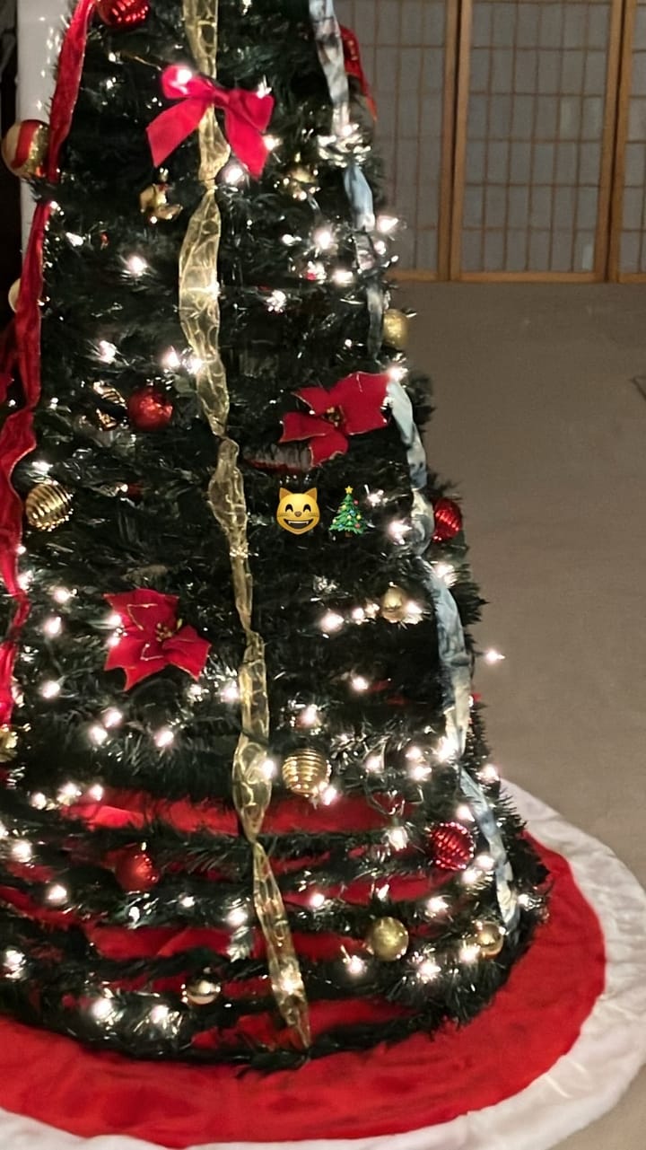 Blogmas - 25 Day Blogging Challenge